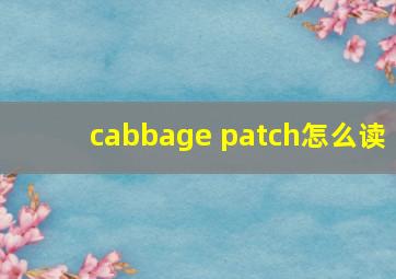 cabbage patch怎么读